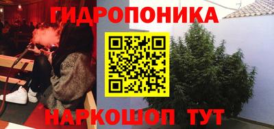 амф Краснодар