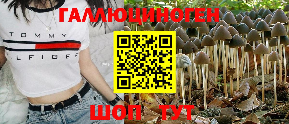 Городец  Галлюциногенные грибы ЛСД  Псилоцибиновые грибы мицелий  Вход с VPN 