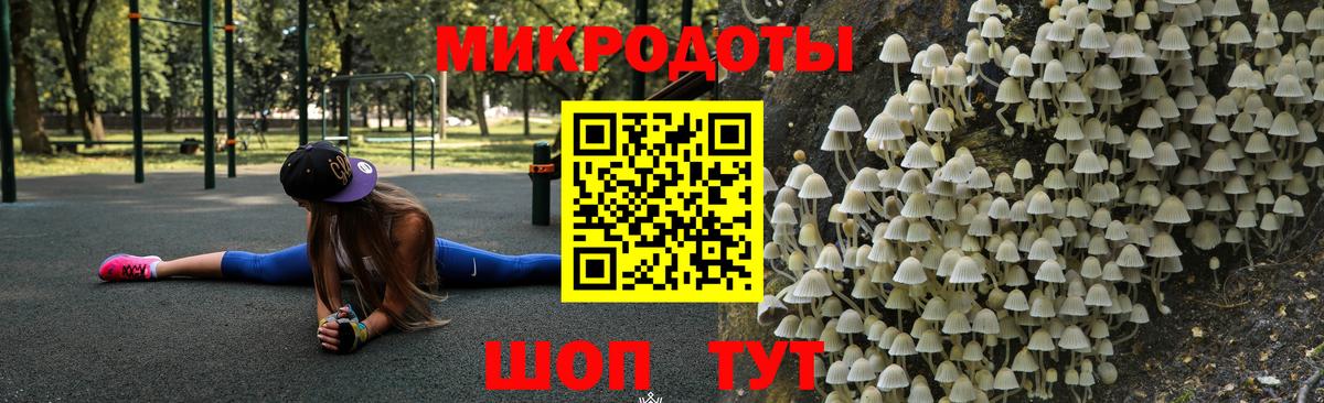 Псилоцибиновые грибы Psilocybe Городец